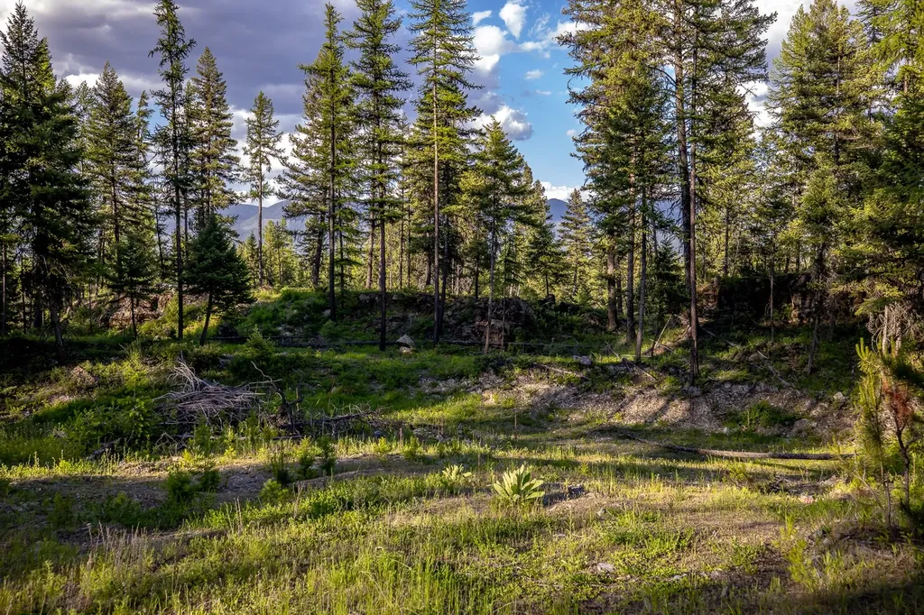 300 Salish Mountains Drive Whitefish MT 59937