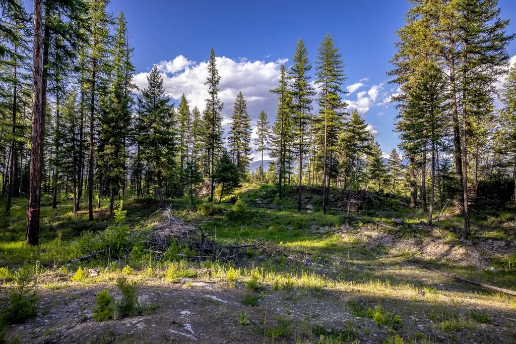 300 Salish Mountains Drive Whitefish MT 59937