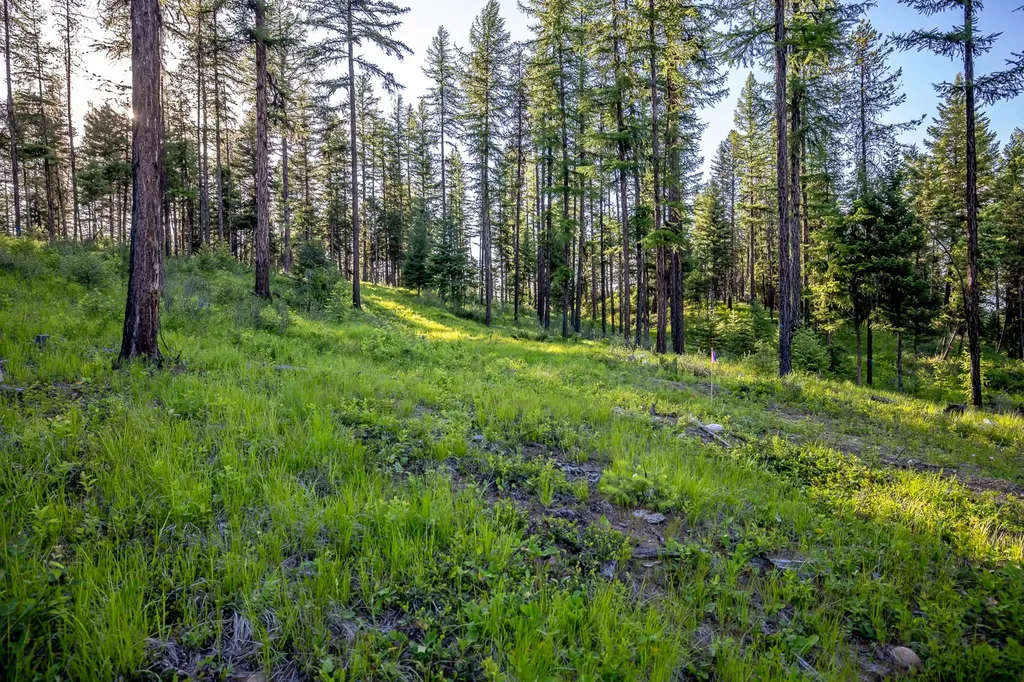 300 Salish Mountains Drive Whitefish MT 59937