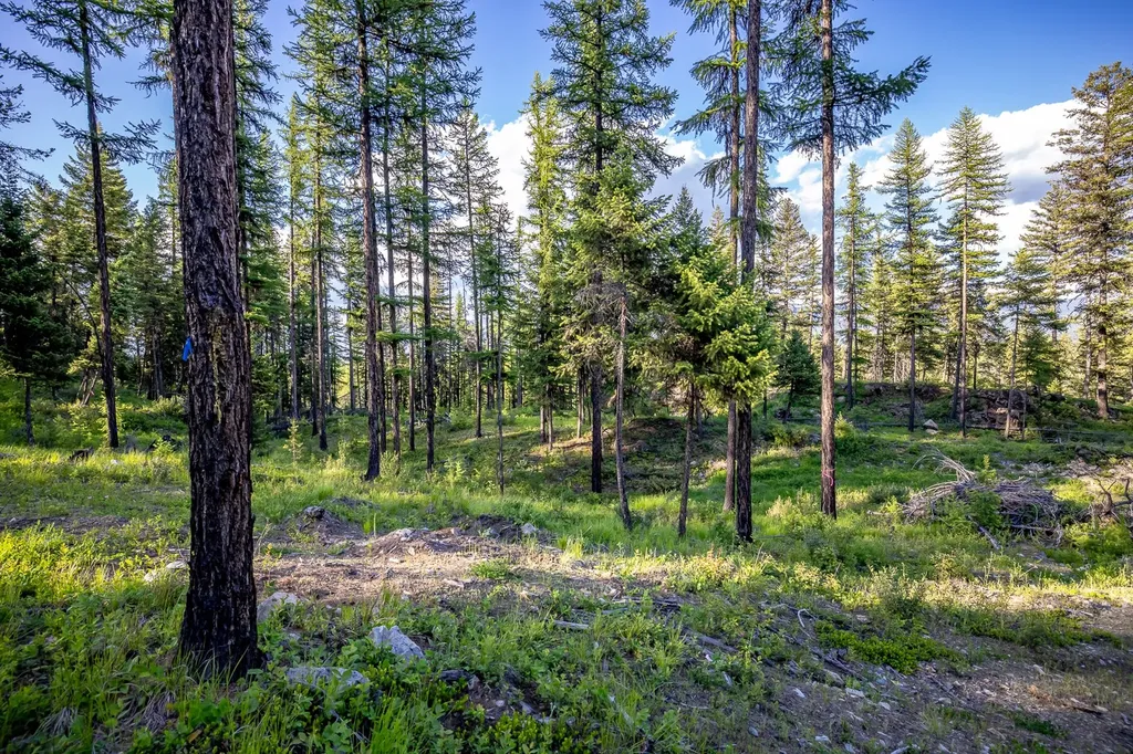 300 Salish Mountains Drive Whitefish MT 59937