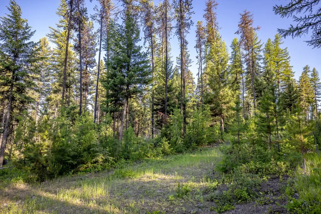 300 Salish Mountains Drive Whitefish MT 59937