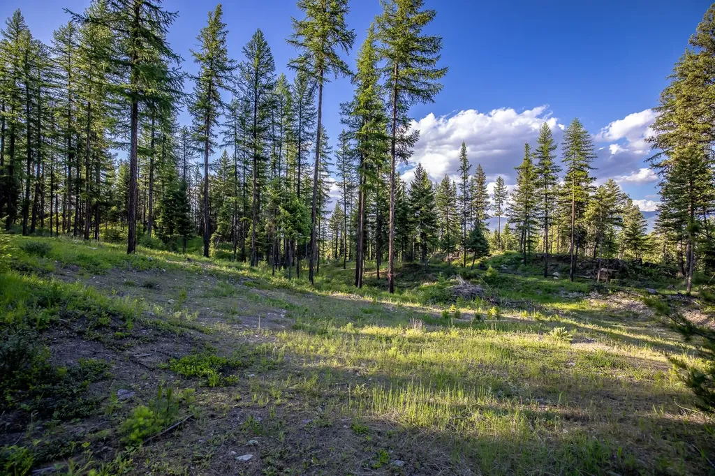 300 Salish Mountains Drive Whitefish MT 59937