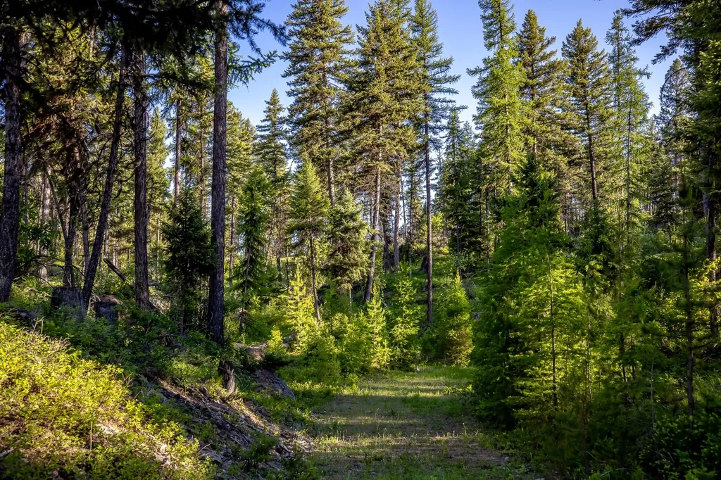 300 Salish Mountains Drive Whitefish MT 59937