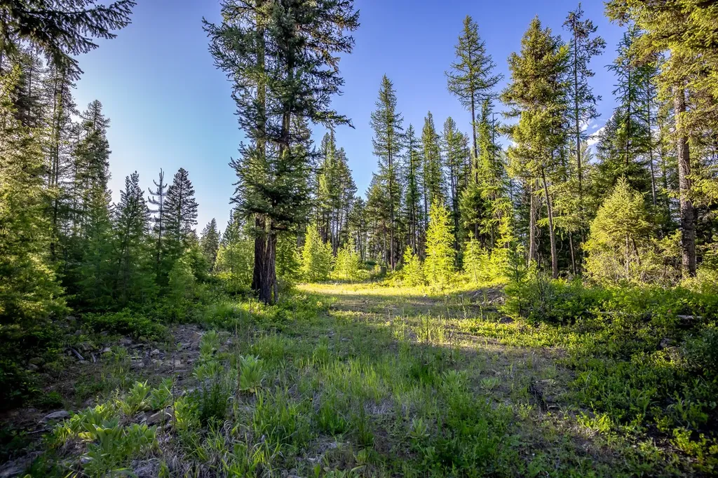 300 Salish Mountains Drive Whitefish MT 59937