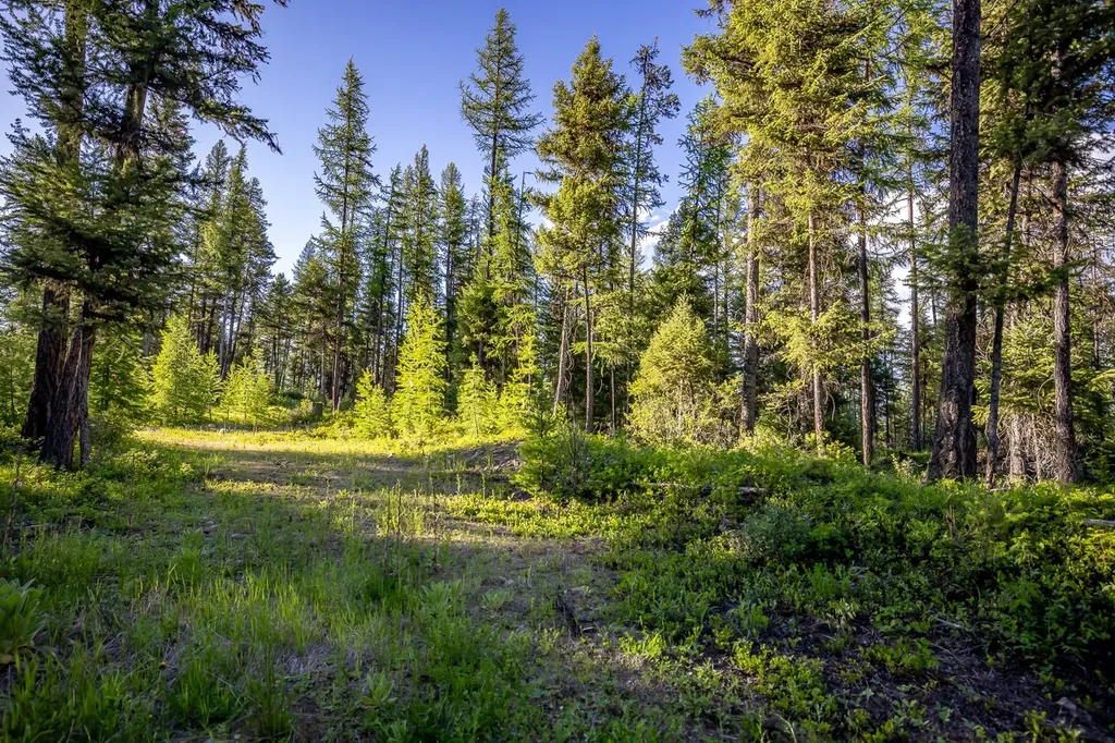 300 Salish Mountains Drive Whitefish MT 59937