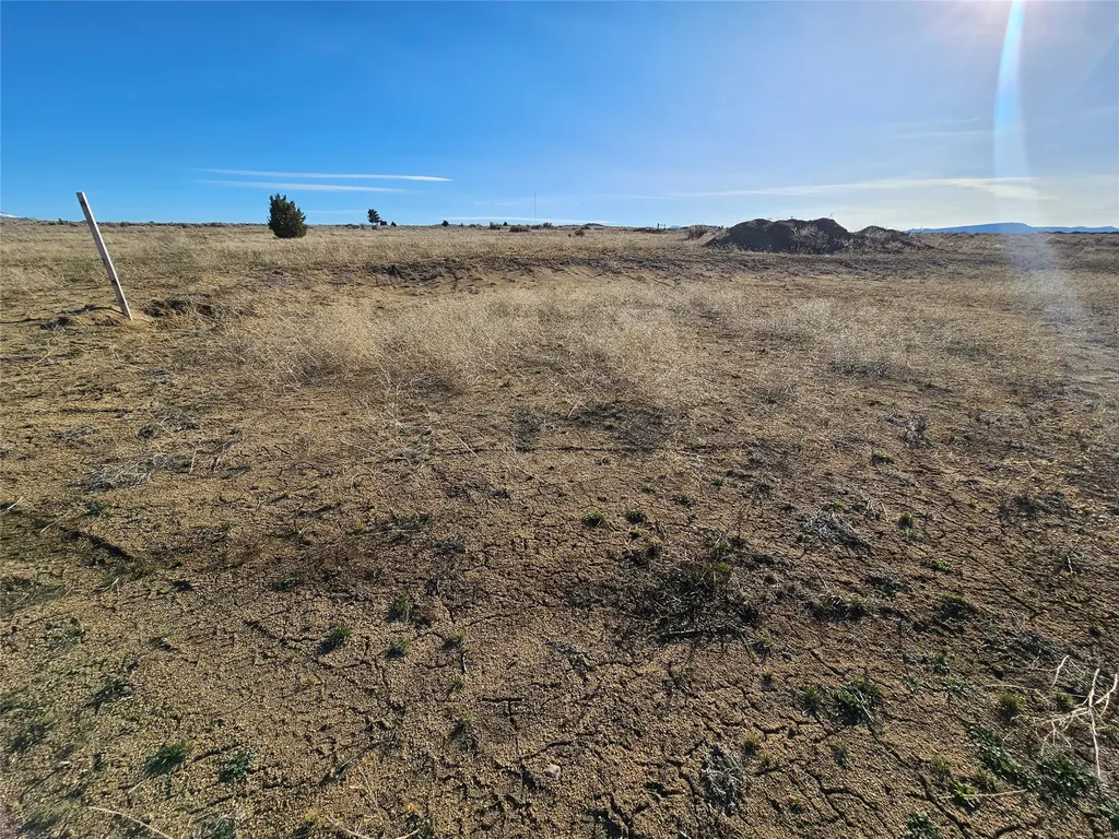 Tbd Buckhorn Lane Butte MT 59701