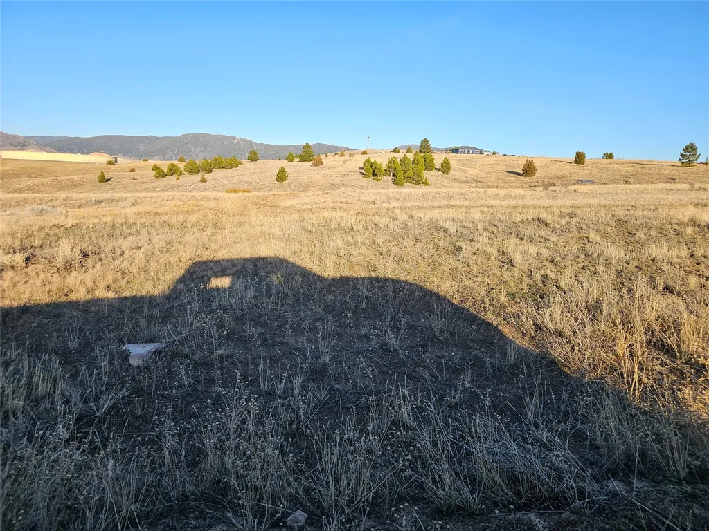 Tbd Buckhorn Lane Butte MT 59701