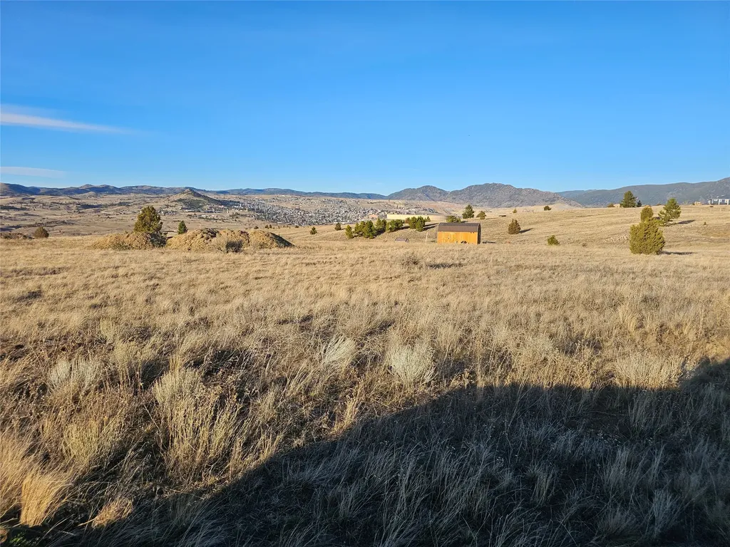 Tbd Buckhorn Lane Butte MT 59701