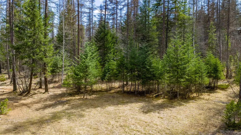 1335 Lion Mountain Drive Whitefish MT 59937