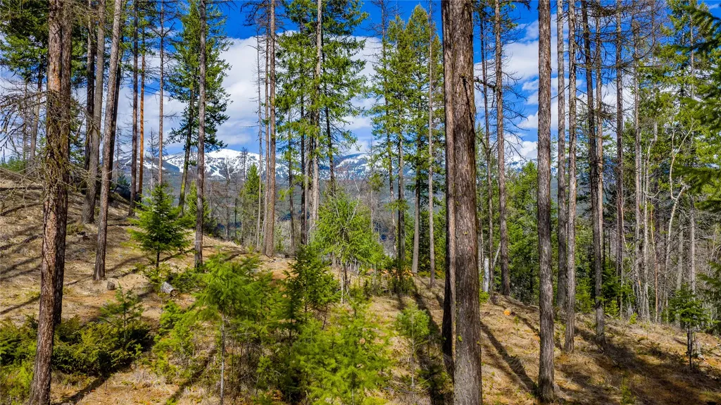 1335 Lion Mountain Drive Whitefish MT 59937