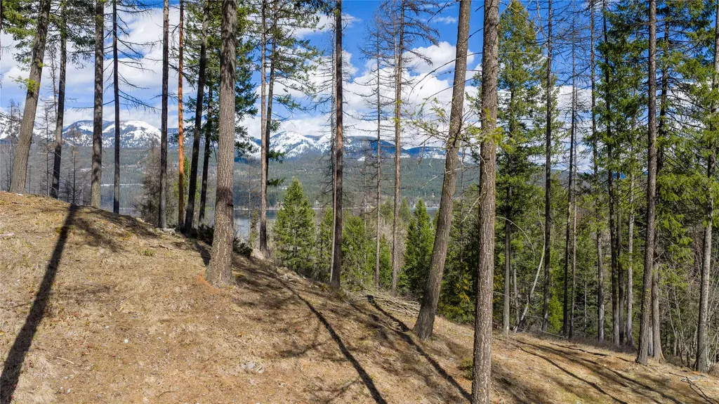 1335 Lion Mountain Drive Whitefish MT 59937