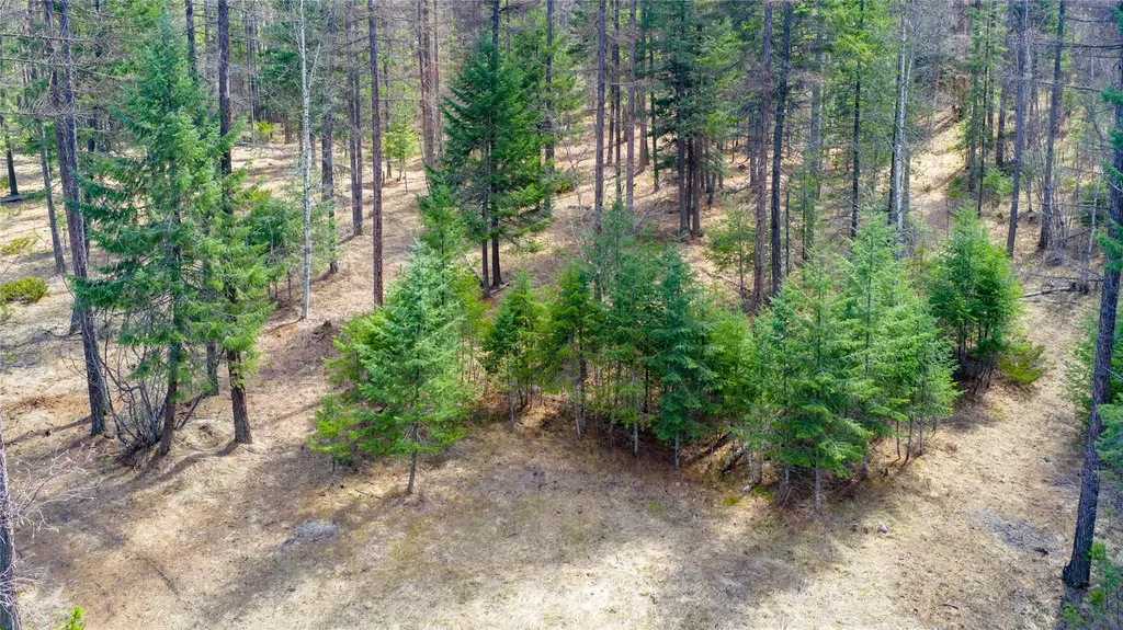 1335 Lion Mountain Drive Whitefish MT 59937