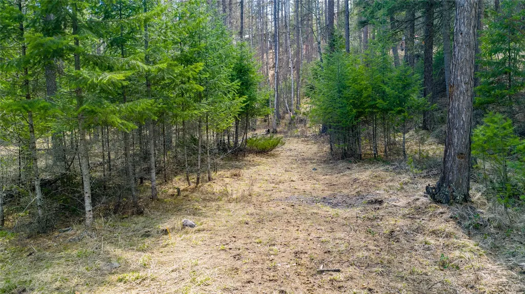1335 Lion Mountain Drive Whitefish MT 59937