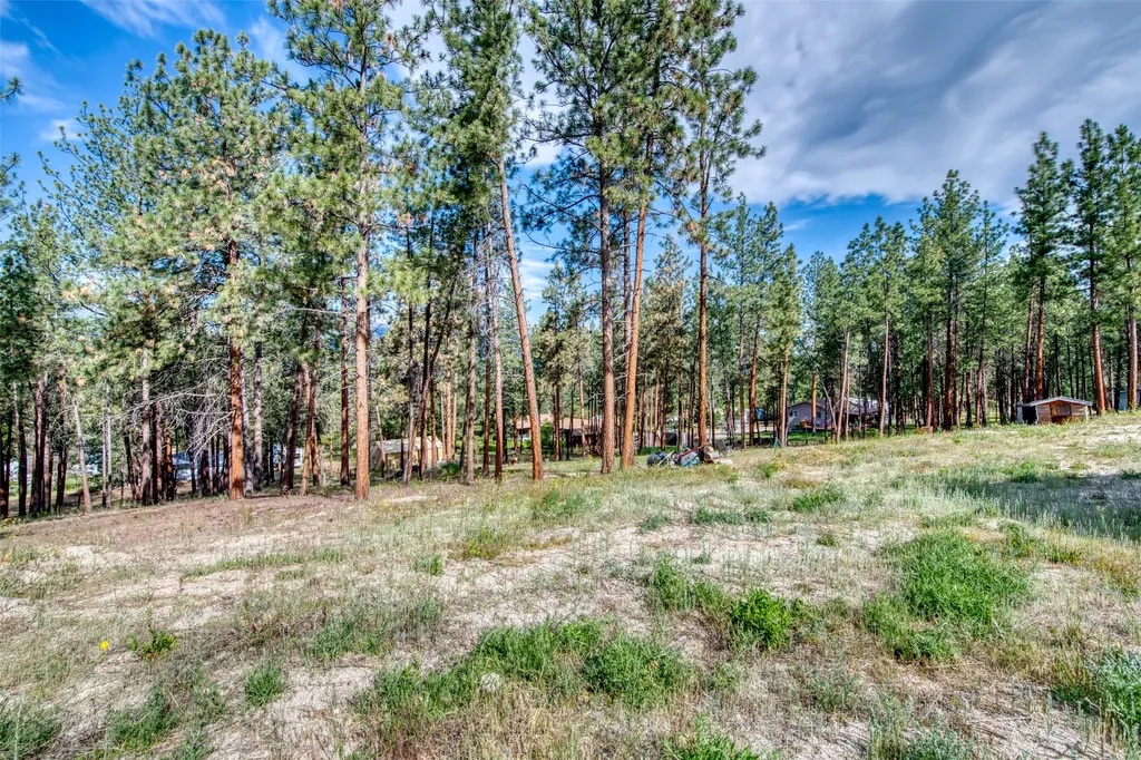 845 Pineview Drive Stevensville MT 59870
