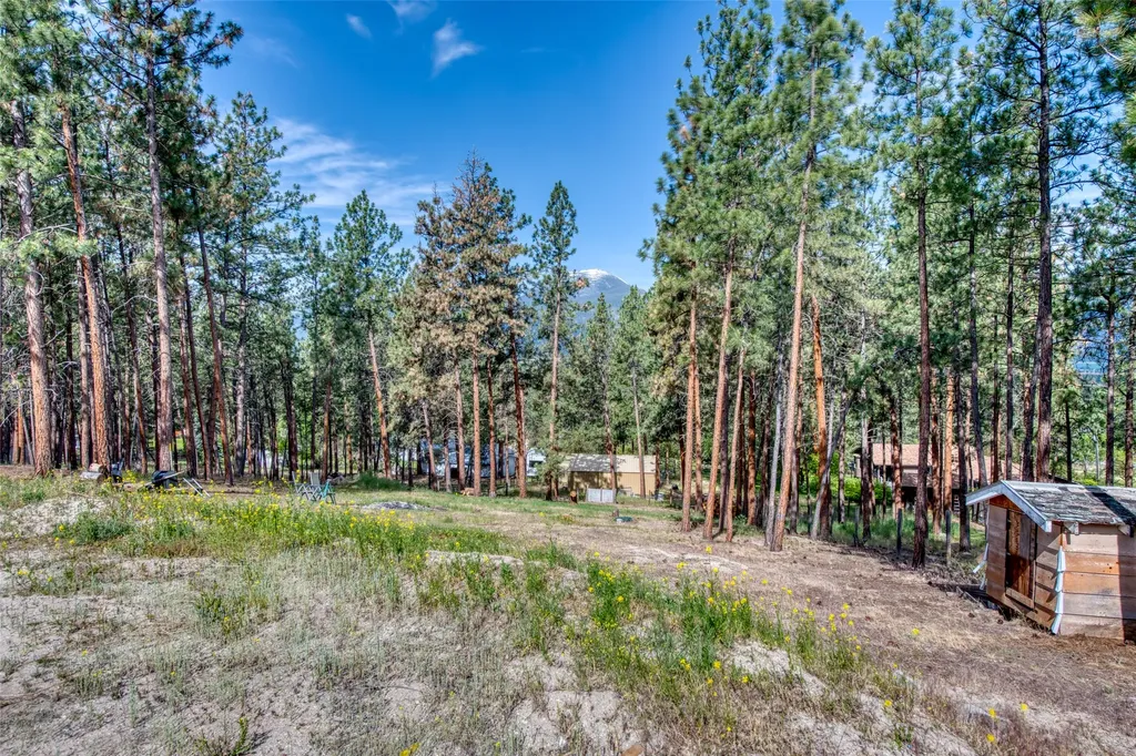 845 Pineview Drive Stevensville MT 59870