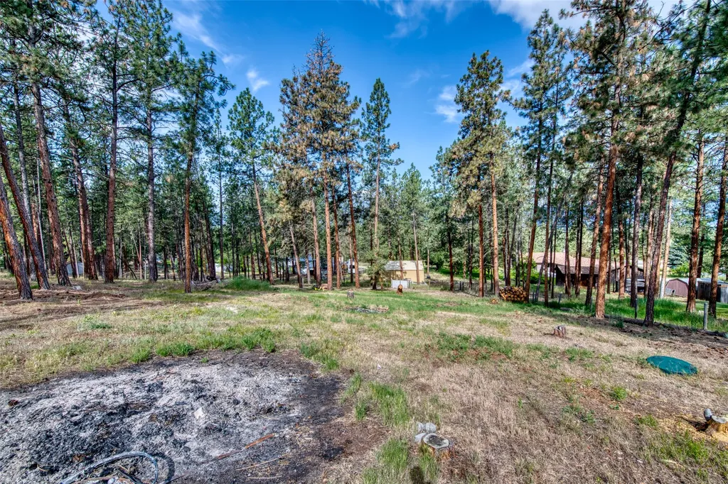 845 Pineview Drive Stevensville MT 59870