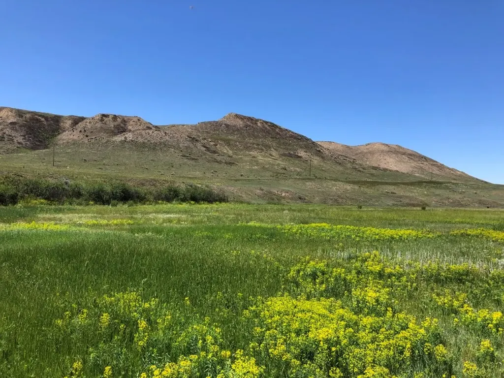 19 Vernon Road Highwood MT 59450
