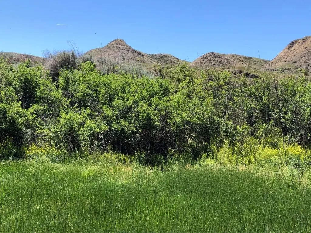 19 Vernon Road Highwood MT 59450