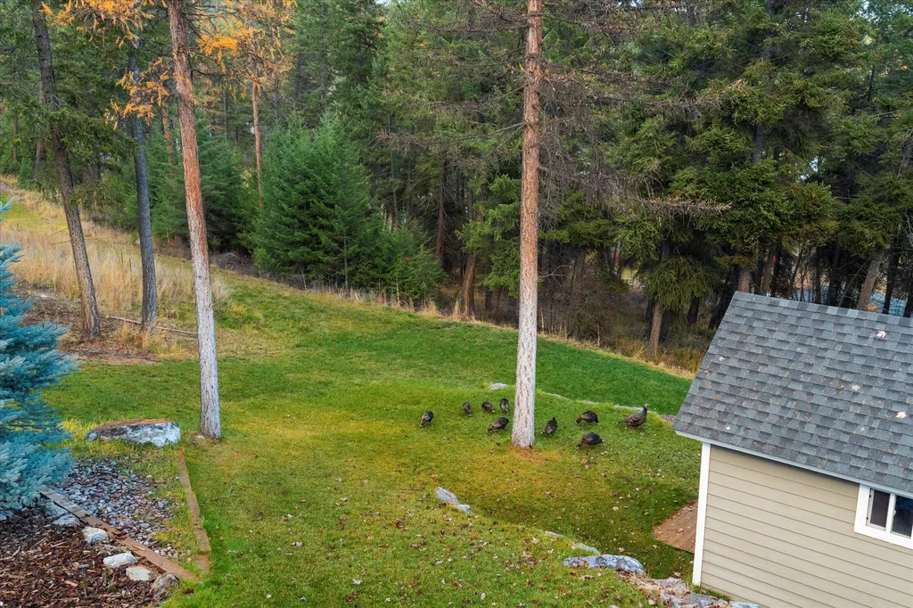 155 Wulff Lane Lakeside MT 59922