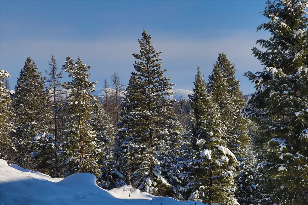 159 Glacier Vista Trail Whitefish MT 59937