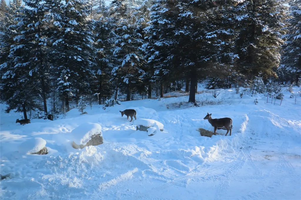159 Glacier Vista Trail Whitefish MT 59937