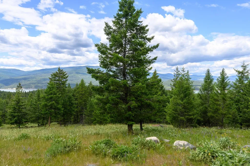 Nhn Linda Vista Drive Rexford MT 59930