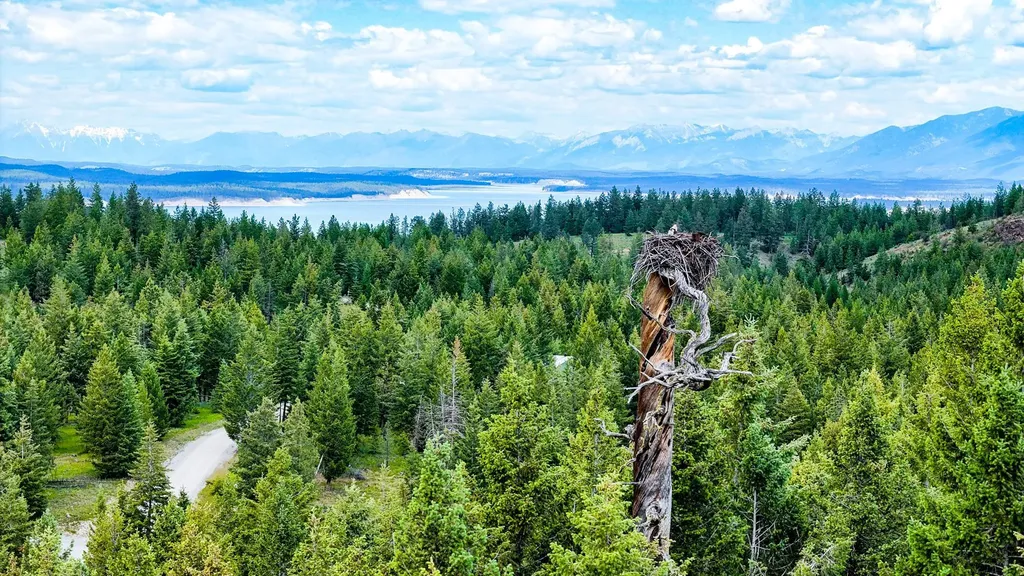 Nhn Linda Vista Drive Rexford MT 59930