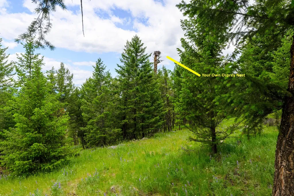 Nhn Linda Vista Drive Rexford MT 59930