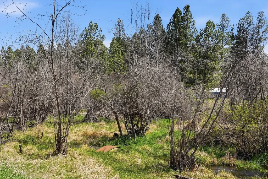 3652 Silverthorn Drive Stevensville MT 59870