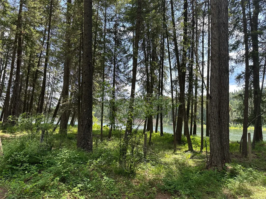 Nhn Sterling Drive Thompson Falls MT 59873