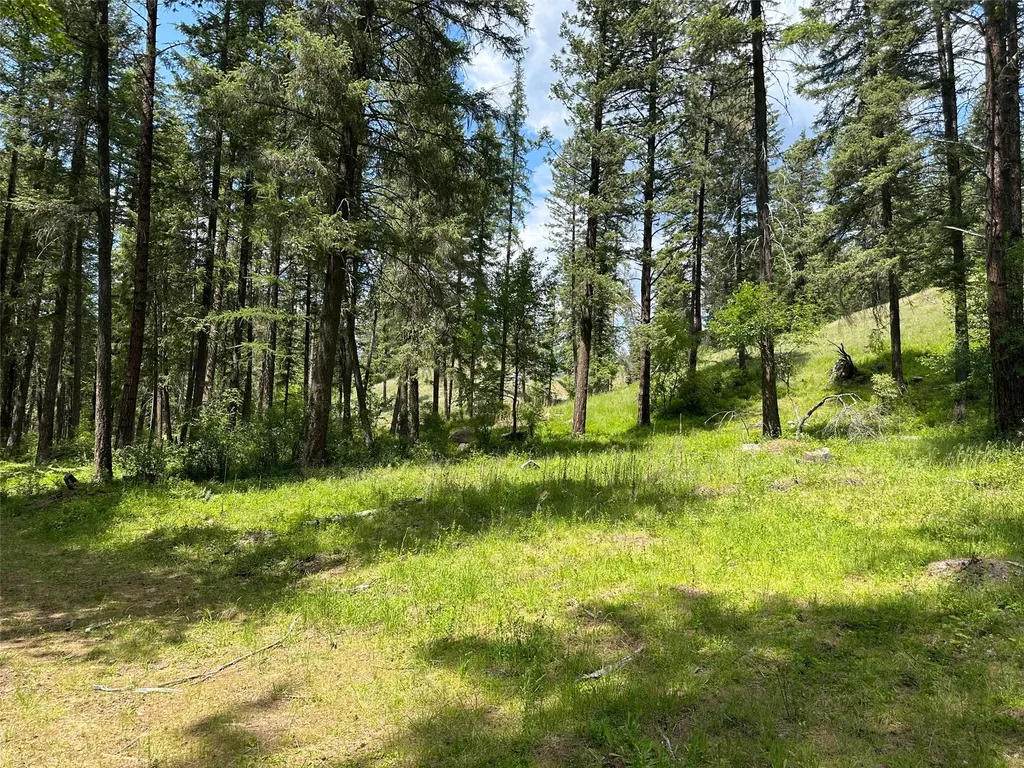 Nhn Sterling Drive Thompson Falls MT 59873