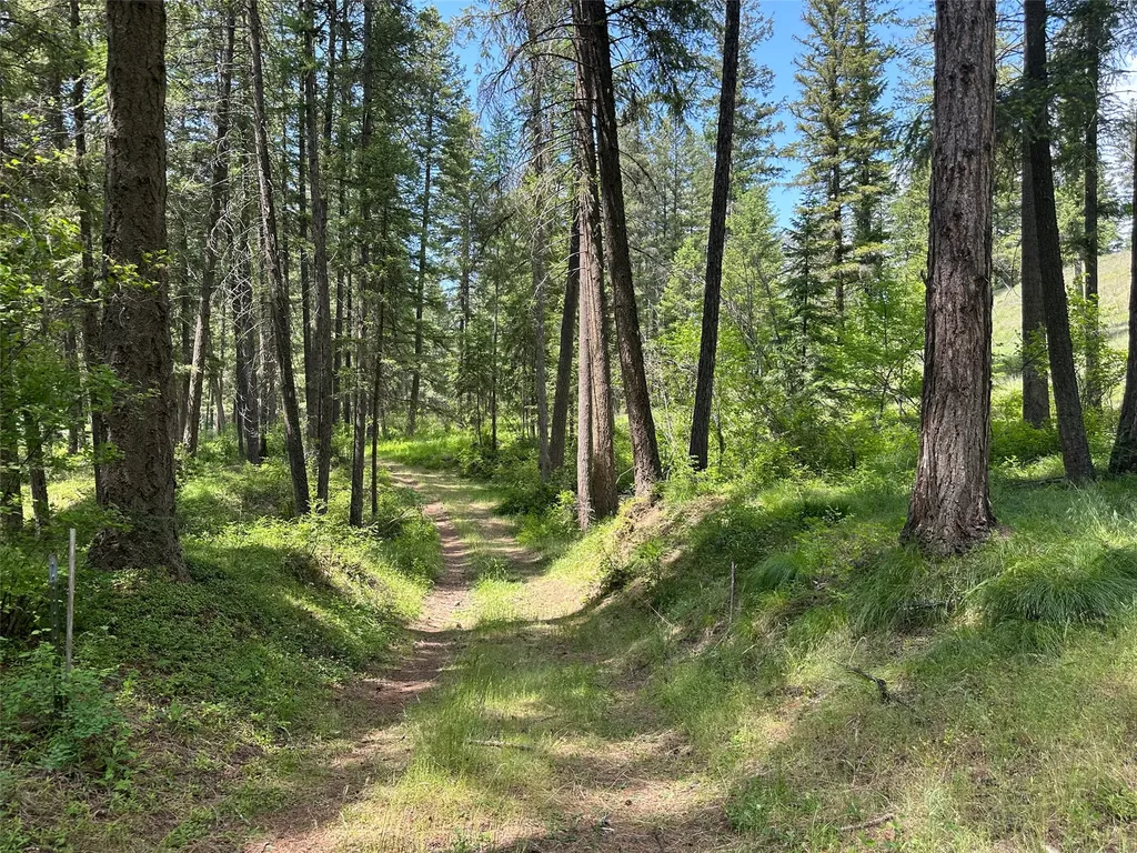 Nhn Sterling Drive Thompson Falls MT 59873