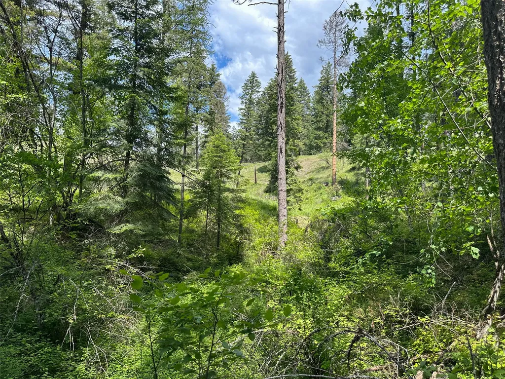 Nhn Sterling Drive Thompson Falls MT 59873