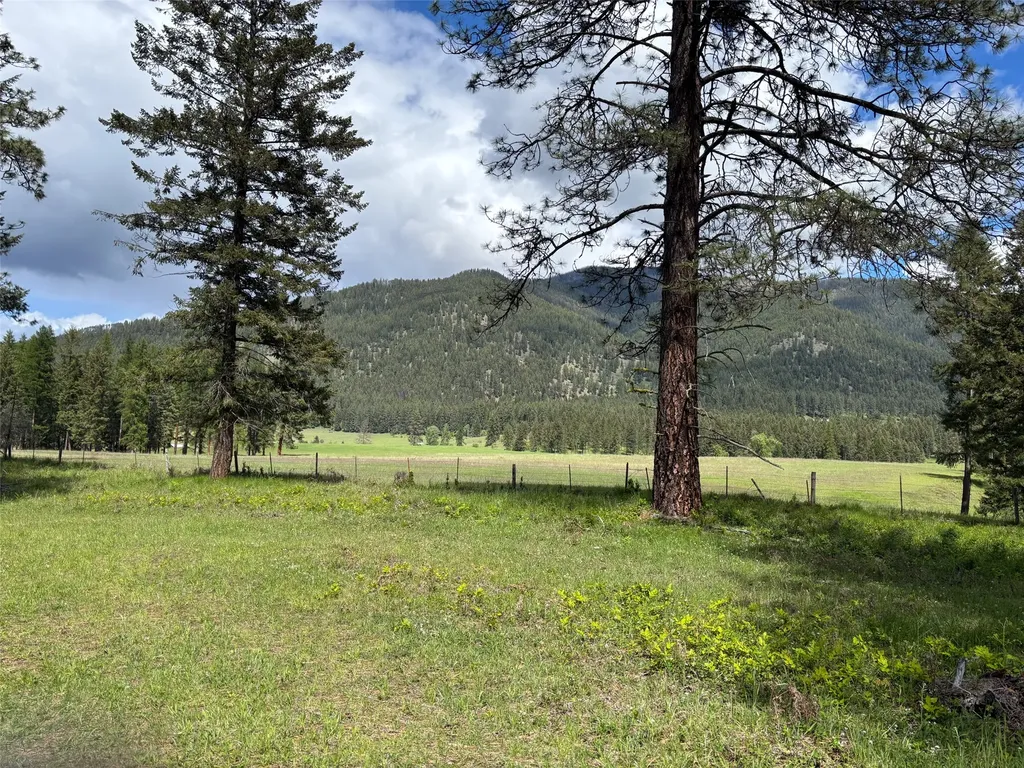 Nhn Sterling Drive Thompson Falls MT 59873