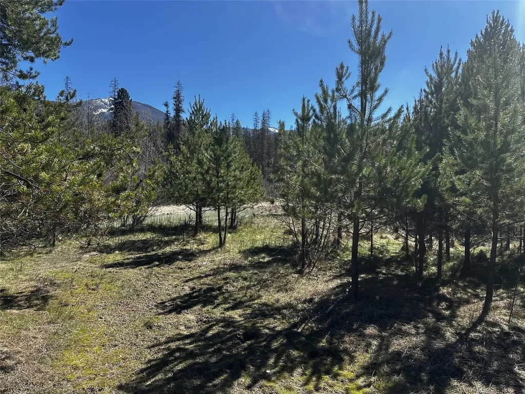 186 Tailback Road Troy MT 59935