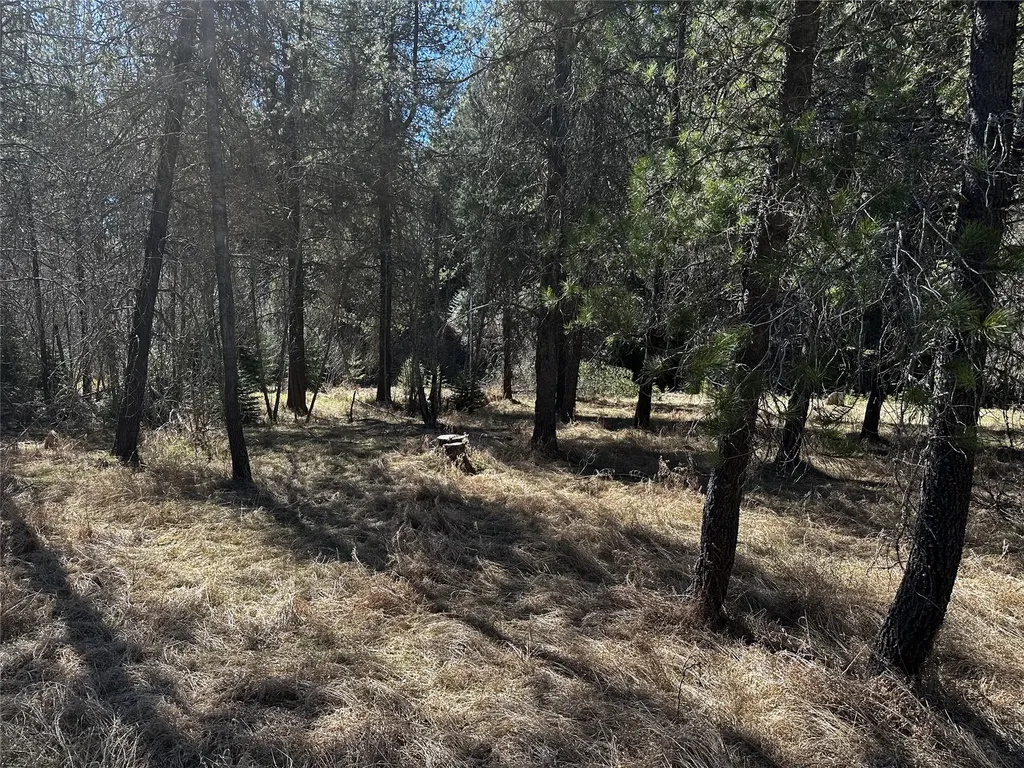 186 Tailback Road Troy MT 59935