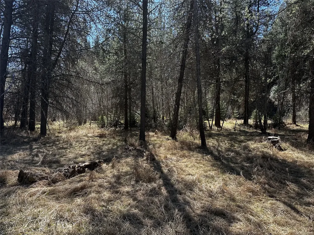186 Tailback Road Troy MT 59935