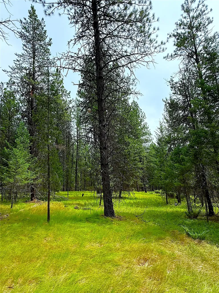 Nhn Pomeroy Trail Eureka MT 59917