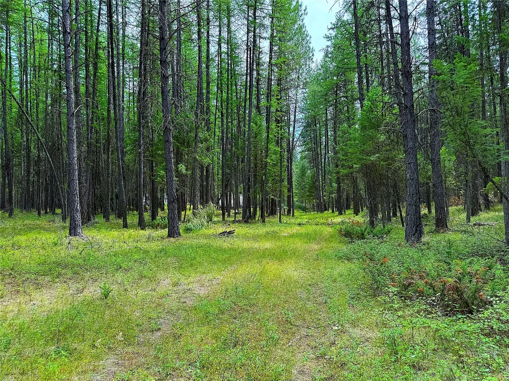 Nhn Pomeroy Trail Eureka MT 59917