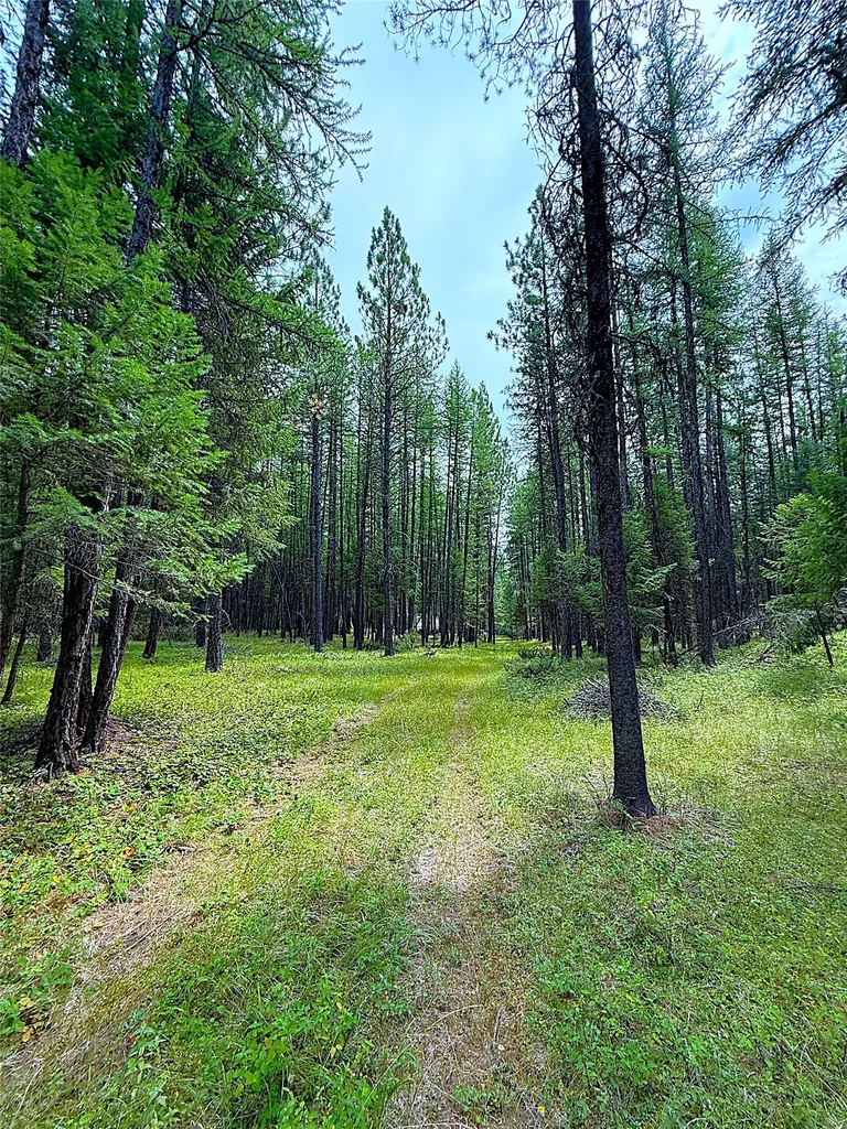 Nhn Pomeroy Trail Eureka MT 59917