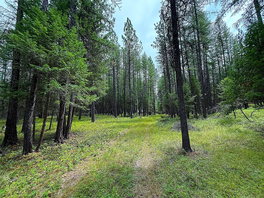 Nhn Pomeroy Trail Eureka MT 59917