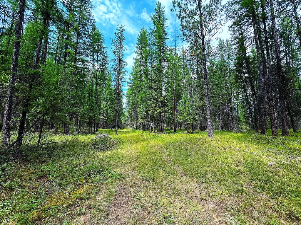 Nhn Pomeroy Trail Eureka MT 59917