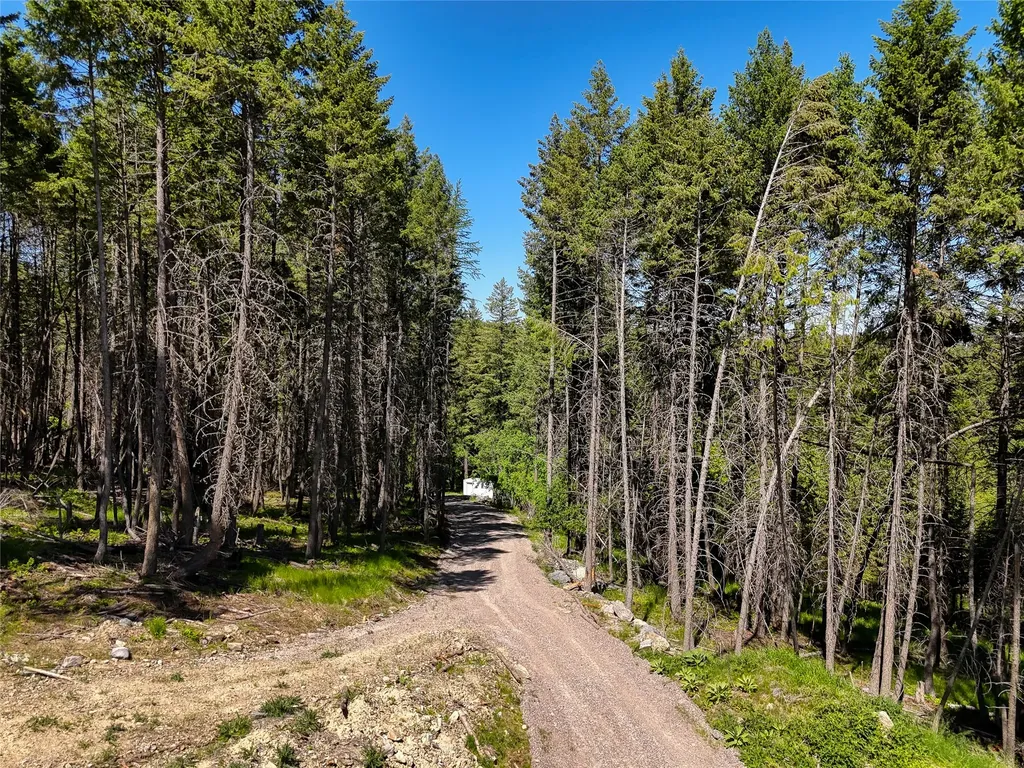615 Swan Hill Drive Bigfork MT 59911