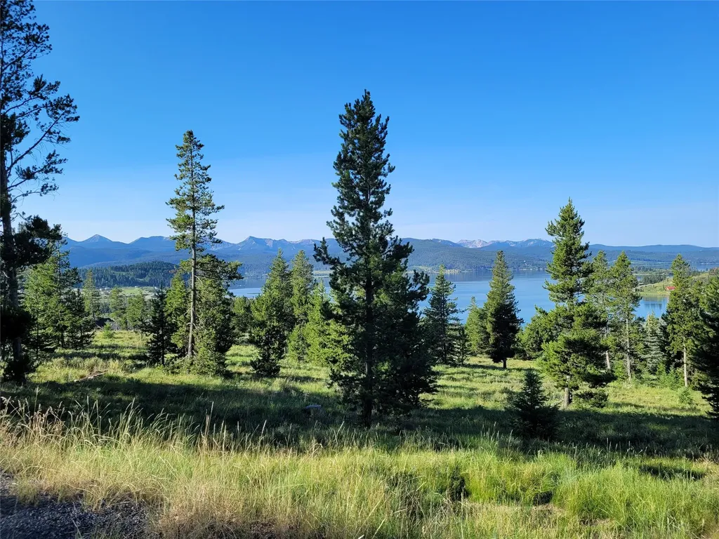 94 Mountainwood Lane Anaconda MT 59711