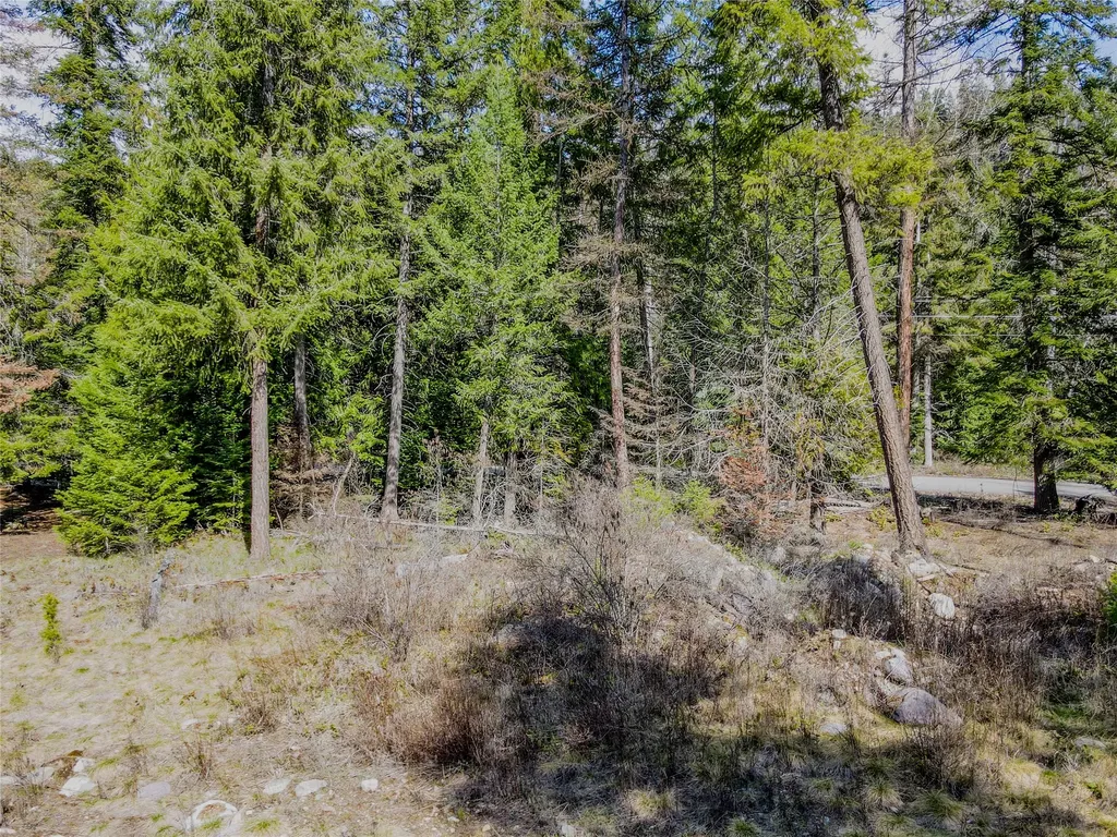 Nhn Kootenai River Road Troy MT 59935