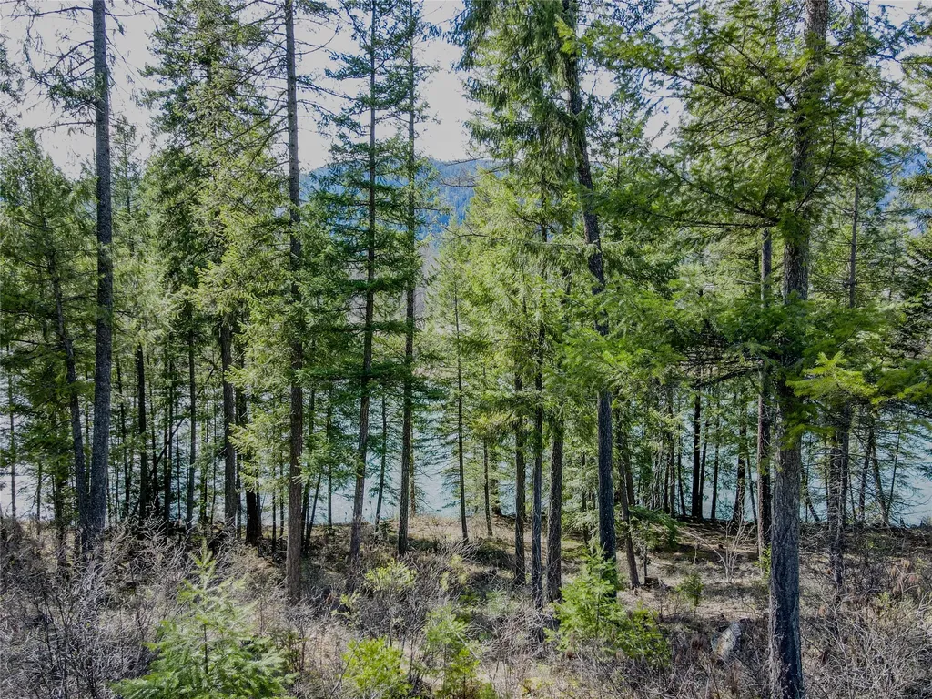 Nhn Kootenai River Road Troy MT 59935