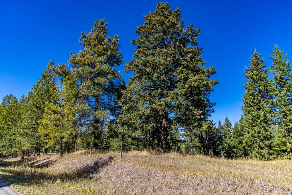 Nhn Blaine View Lane Kalispell MT 59901