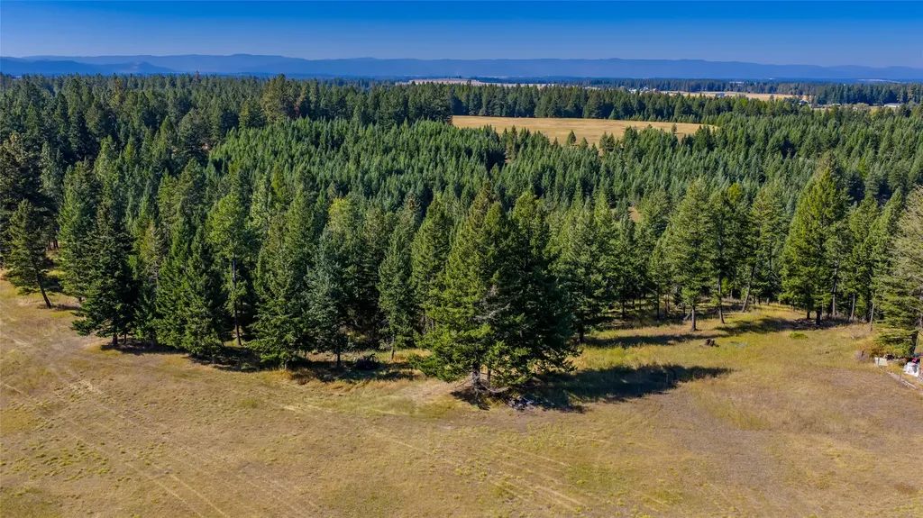 Nhn Blaine View Lane Kalispell MT 59901