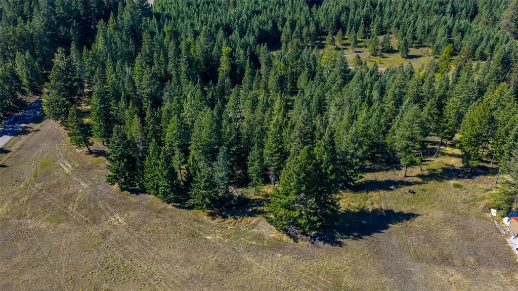 Nhn Blaine View Lane Kalispell MT 59901