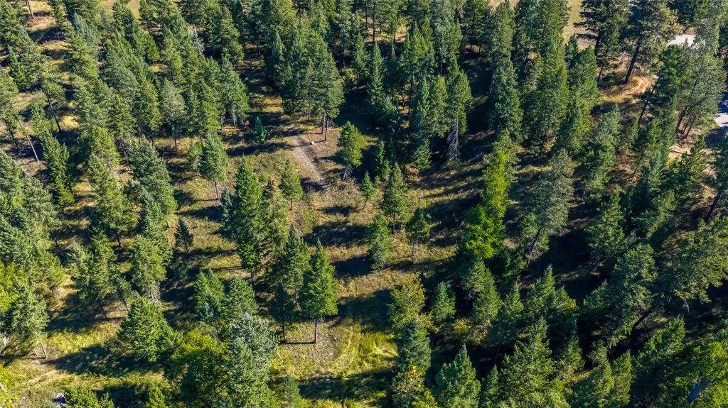 Nhn Blaine View Lane Kalispell MT 59901